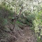 בית כפרי Casa Alva *