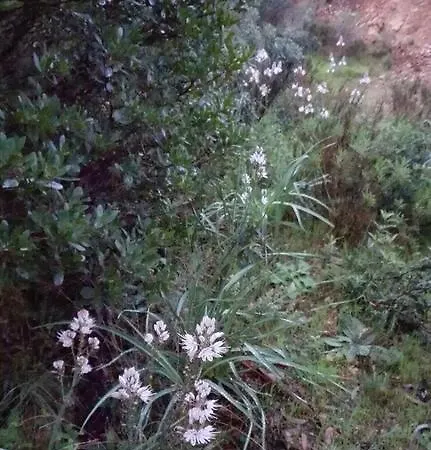 Casa Alva * 알제주르