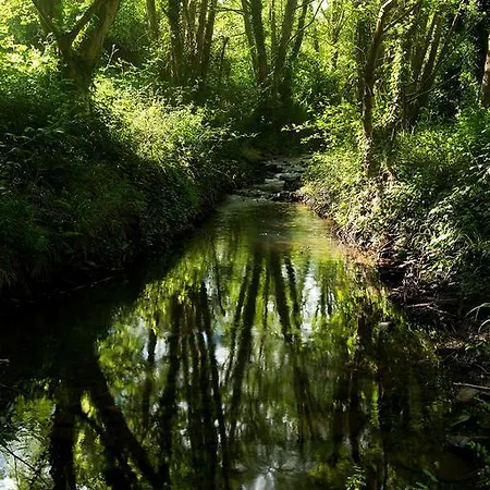 Casa Alva 컨트리하우스