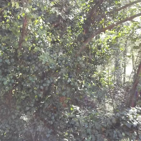 Casa Alva カントリーハウス