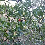 Casa Alva カントリーハウス アルジェズール
