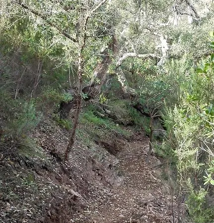 Kır Evi Casa Alva *